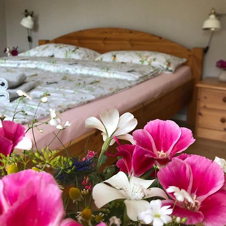 Ferienwohnung Elbsegler 布莱克德 外观 照片
