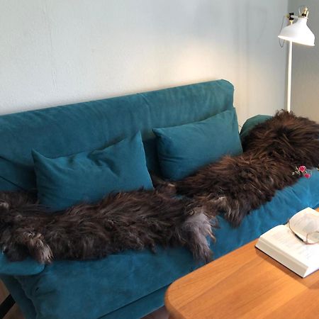 Ferienwohnung Elbsegler 布莱克德 外观 照片
