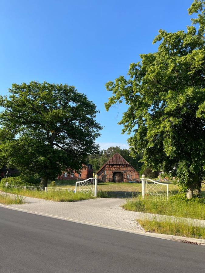 Ferienwohnung Elbsegler 布莱克德 外观 照片