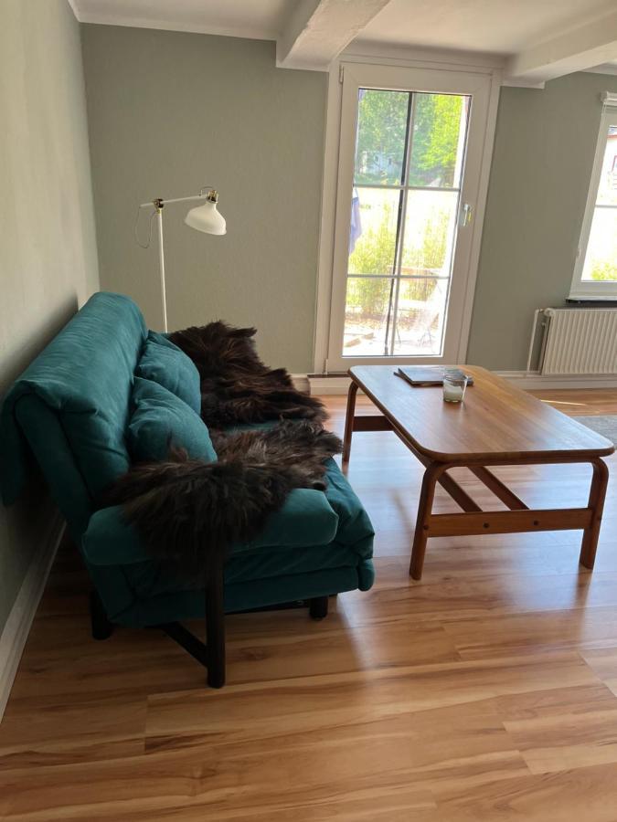 Ferienwohnung Elbsegler 布莱克德 外观 照片