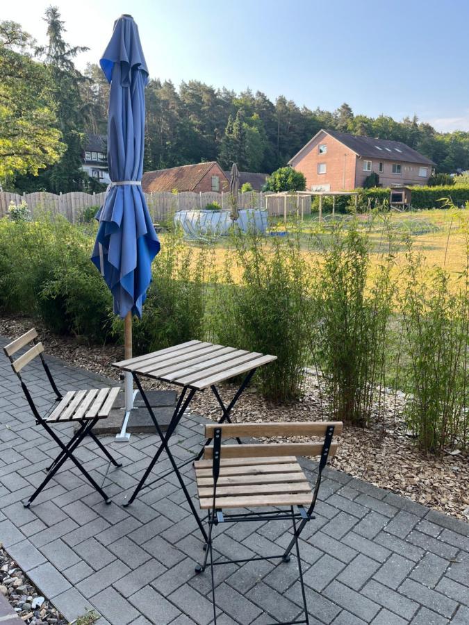 Ferienwohnung Elbsegler 布莱克德 外观 照片