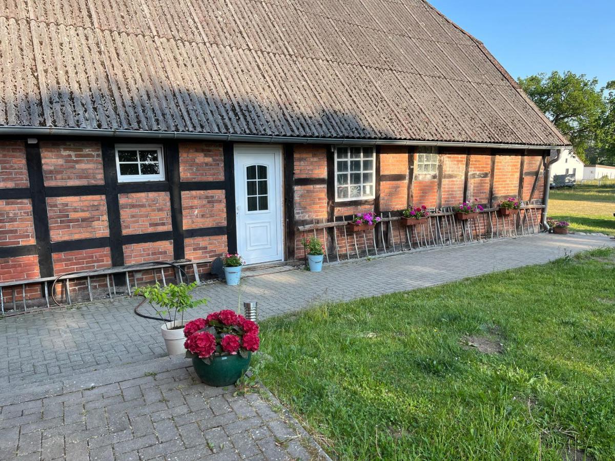 Ferienwohnung Elbsegler 布莱克德 外观 照片