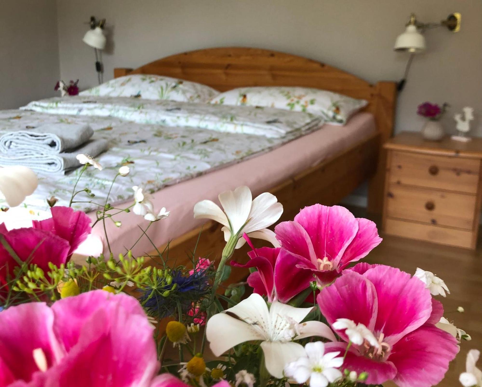 Ferienwohnung Elbsegler 布莱克德 外观 照片
