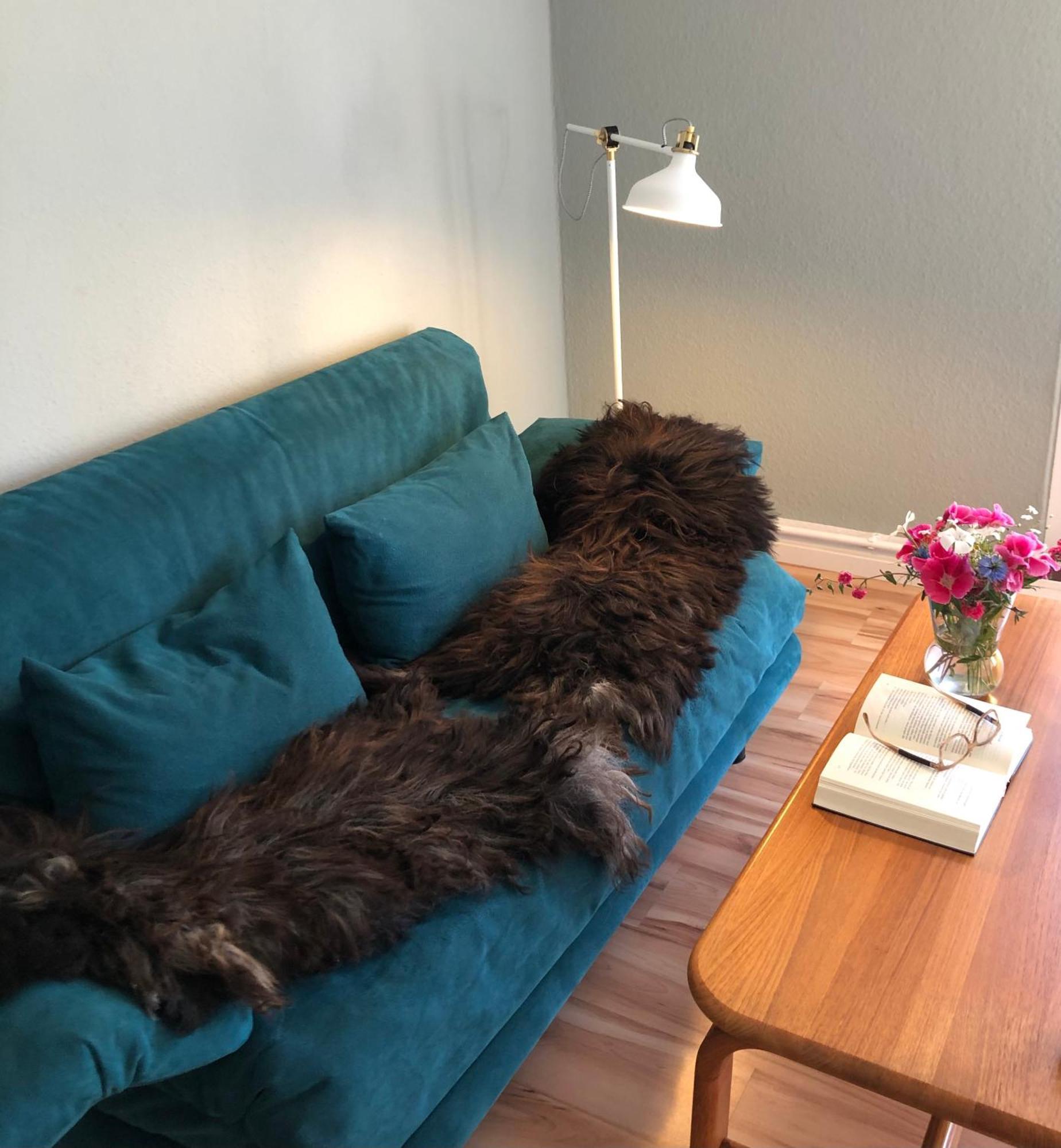 Ferienwohnung Elbsegler 布莱克德 外观 照片