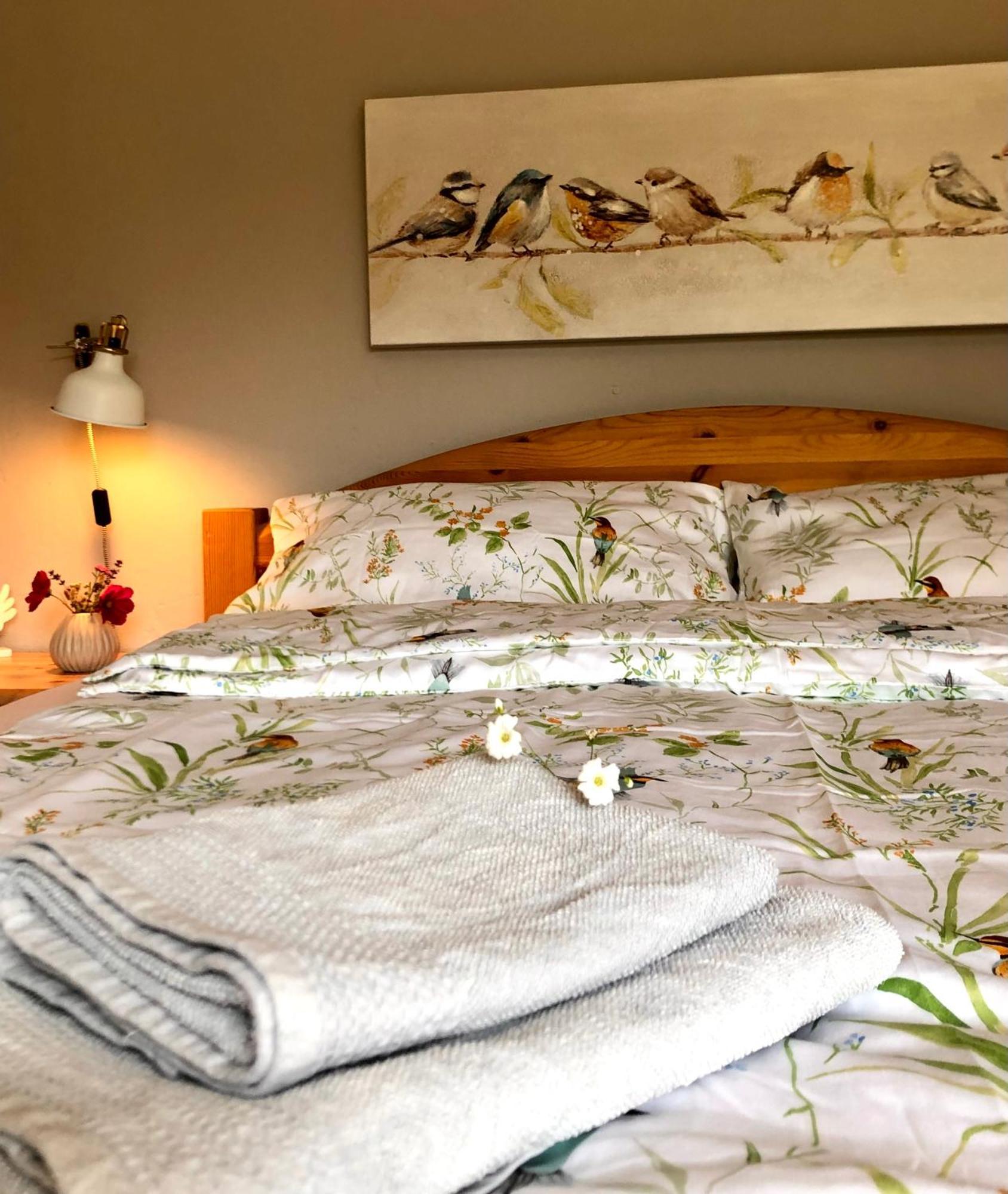 Ferienwohnung Elbsegler 布莱克德 外观 照片